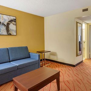 Suite Two Double Beds Non-Smoking
